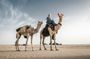 Agafay Desert Camel Ride and Quad Bike with Dinner Show