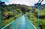 Monteverde Hanging Bridges Day Trip from San Jose