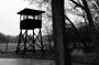 Private 8 day memorial tour: Follow Anne Frank from Amsterdam to Auschwitz