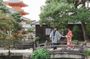 Photo Shoot with a Private Vacation Photographer in KYOTO, JAPAN
