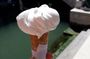Rialto Food Tour and Gelato Tasting with a Local Guide