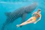 Discover South Ari Atoll - Full Day Tour from Male city