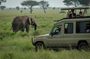 4 Day Akagera Safari & Gorilla Trekking at Volcanoes Nat Park