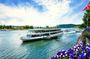 Linz Old Town Private Walking Tour and Cruise