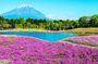 Mt. Fuji 5th, Oshino Hakkai, Onsen Full-Day Trip From Tokyo