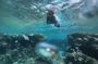 Private Snorkeling Experience in Aqaba Red Sea