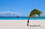 Barbados Island Highlights Half-Day Tour