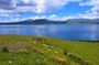 11 Days/10 Nights National Parks Tour Package in Georgia