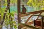 Silver Springs Jungle Kayaking and Paddleboarding