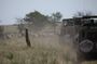 Private 6 Day Great Wildebeest Migration Ndutu Calving Season