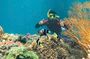 Nha Trang Full Day Snorkeling Tour with Water Slide