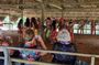 Gatun Lake Panamá Wildlife Adventure Guided Experience