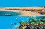 Dolphin House Snorkeling Day Cruise with Lunch from Hurghada