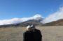 All of Ecuador mainland in 10 days mountains, jungle and lowland