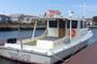 Seaside Cruising Dolphin Watching and Sunset Cruises