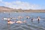 Full-day tour - Salt Mine, Blue Eye, Shark Watch and Kite Beach
