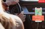 Self-Guided Driving Audio Tour in Joshua Tree National Park