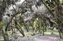 Bale Mountain National Park 5 Days Tour Package