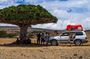 Explore Socotra Island |8 Days | PrivateTour(Oct 2026 – May 2027)