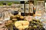 Traditional Hvar Cooking Classes, Dinners & 'Poje' Field Tour!