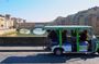Small-Group Golf Cart Tour: Michelangelo & Florence Hills