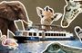 Admission Ticket to the ZOO with the Cruise Boat Transfer