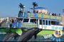 Guaranteed Dolphin Sighting Tour on Tropics Boat Tours