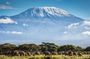 Climb Mount Kilimanjaro: 7 Days Machame Route
