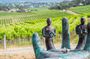 McLaren Vale Wine Tour - Self-Guided GPS Audio Guide