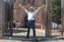 Walk with a Born and Raised Guide at San Miguel de Allende