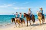 Okinawa Ikigai Blue Zone Tour with Guide and Driver 1–8 Guests