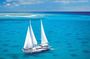 Great Barrier Reef & Michaelmas Cay Sailing Cruise from Cairns