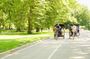 Central Park Private Pedicab Tour