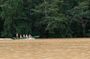 Sandakan: 2D1N Sukau Rainforest Wildlife Journey and Cruises