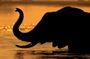 Chobe Sunset Cruise From Victoria Falls