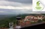 3 Organic Wineries Private Day Trip to Wine Province With Lunch and Tastings