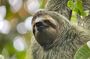 Manuel Antonio with Mauro / Tickets not Included!
