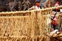 Q’eswachaka Bridge Tour – Full Day Tour of the Last Inca Bridge.
