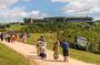Bodega Garzon Wine Experience with Private Transfer