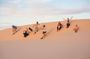 Timlaline sandboarding and canyon visit and colored village visit
