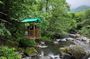 From Batumi: UNESCO World heritage site -Waterfall & Lake view