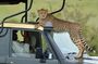 10 Days Kenya Photographic Safari Package