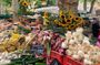 Gourmet & Cultural Tour Aix En Provence English / Espanol
