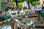 Cycling tour with English garden and Isar floodplains for private groups
