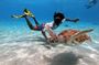 Unforgettable Sea Turtle Swim & Grote Knip Beach incl. Pick up