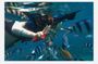 Bali Snorkeling: Blue Lagoon &Tanjung Jepun with Lunch & Transfer