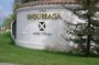 Santiago: Half day Visit to Undurraga vineyard, entrance and transport included