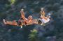 Half-Day Zip Line Adventure in Los Cabos