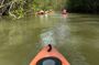 Kayak Mangrove Tour in Manuel Antonio