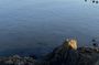 Fife History and Folklore Guided Tour